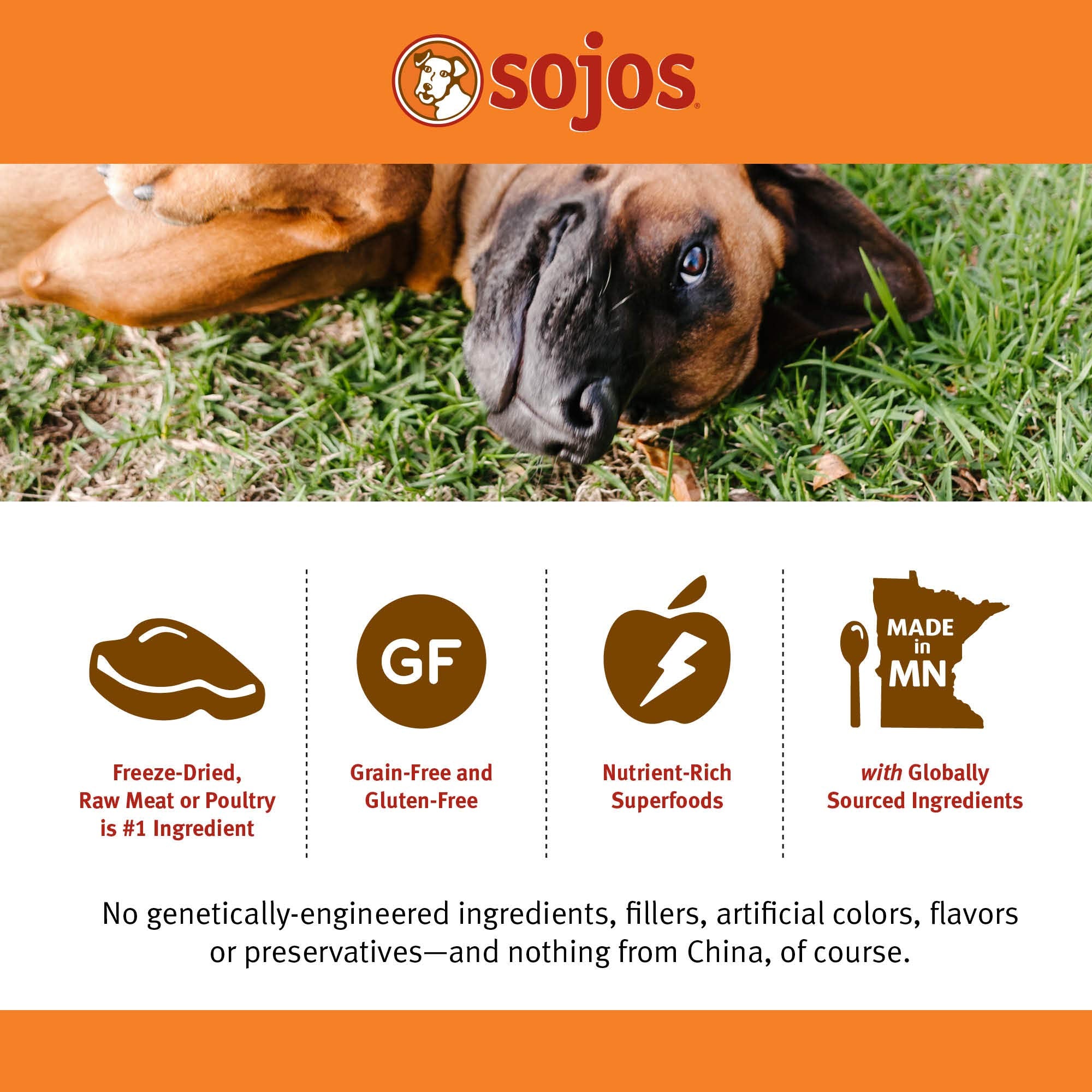 Sojos res sin granos para perros adultos, opción sin granos