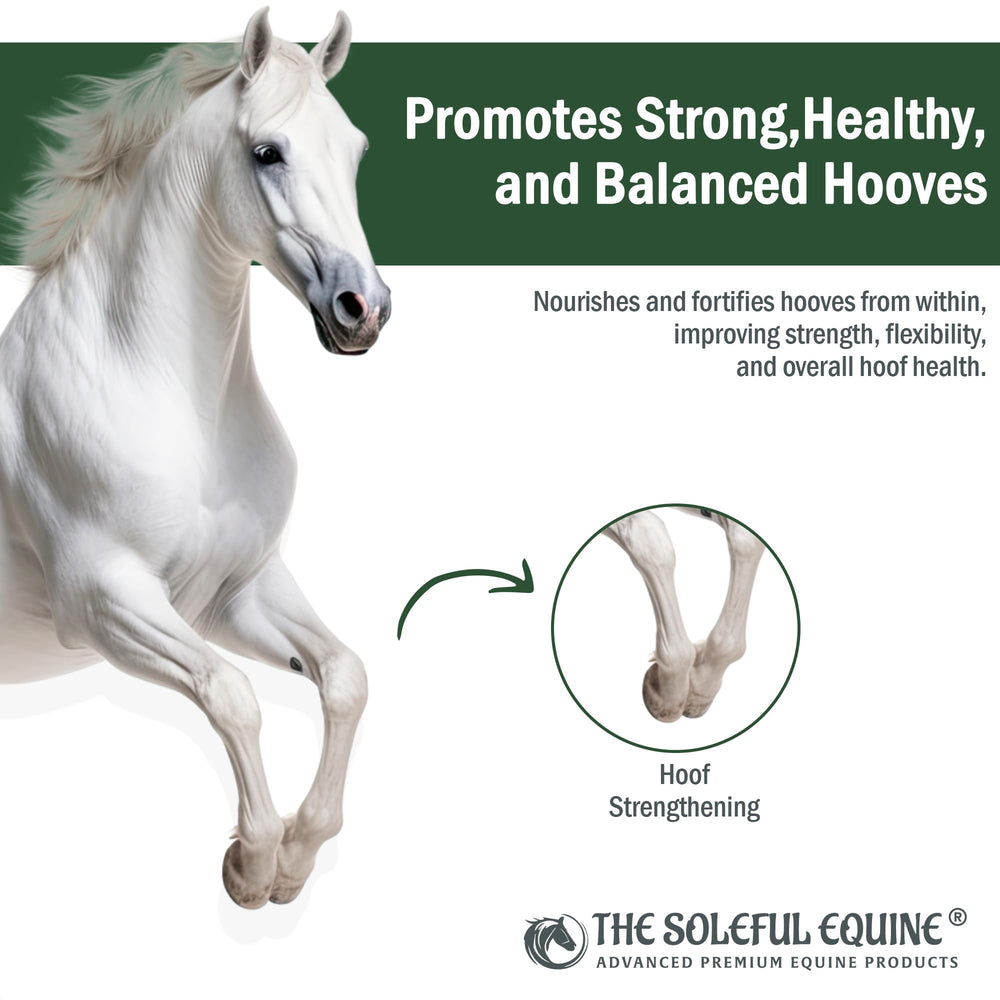 The Soleful Equine Envase durable para uso sin desorden.