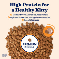 Solid Gold sin-granos para gatos: opción digestiva para estómago sensible.