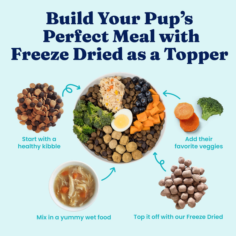 Solid Gold con superalimentos para nutrición diaria de tu perro.