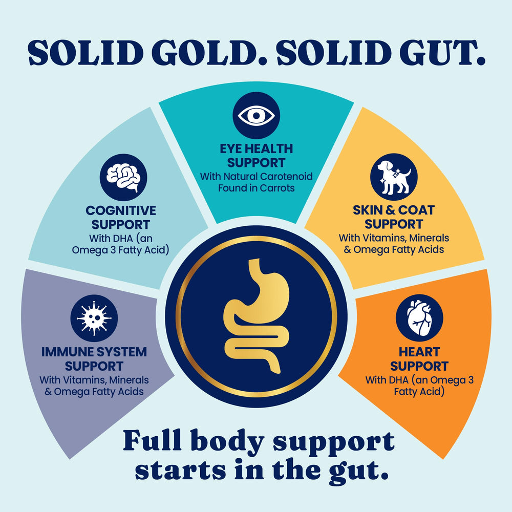 Solid Gold Bison alto en proteína para soporte muscular en razas grandes