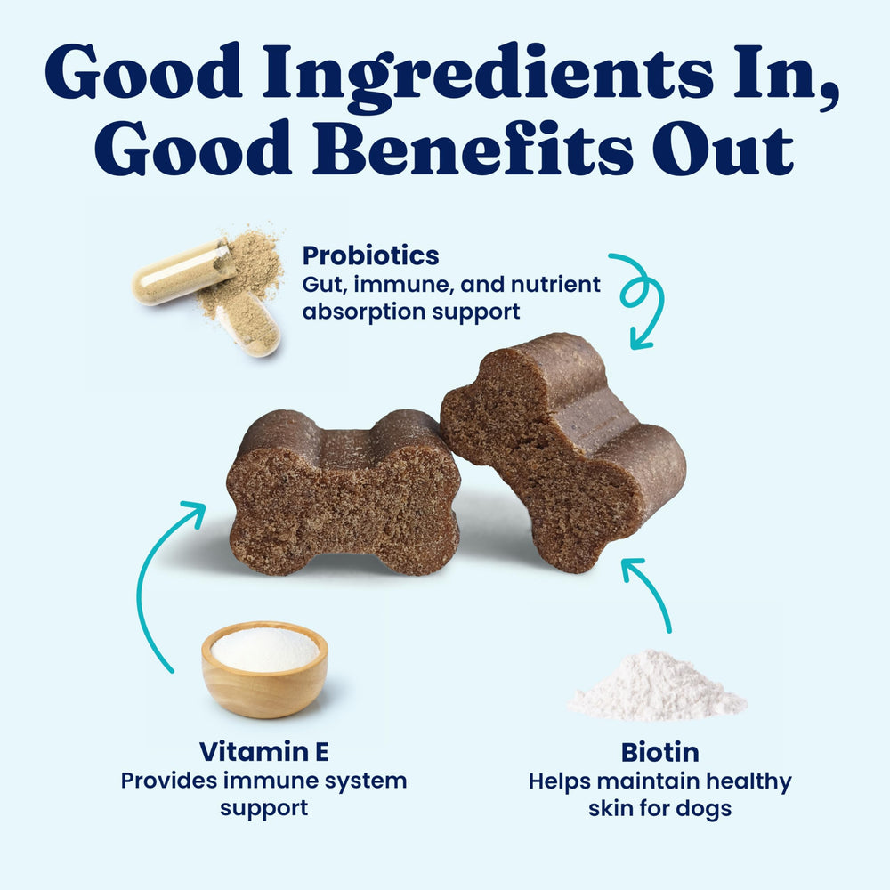 Solid Gold Dog Multivitamin, apoyo para la salud cerebral durante la vida del perro.