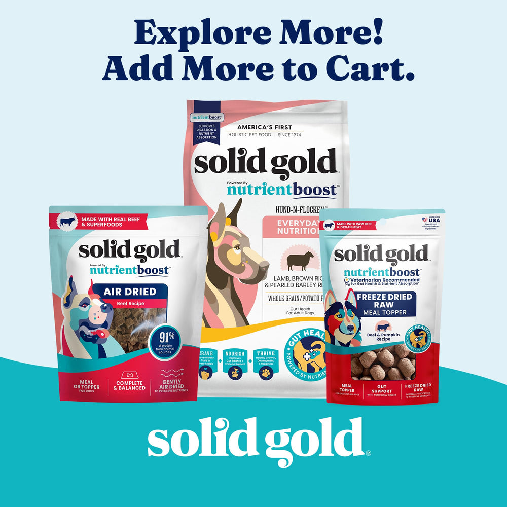 Solid Gold lata digestiva-energía, experiencia alimentaria suave y estable.