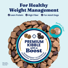 Solid Gold probióticos para digestión y flora intestinal en perros