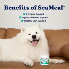 SeaMeal Solid Gold, mezcla en plato para perros y gatos.