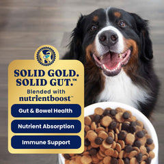 Solid Gold sin granos para una dieta limpia de perros