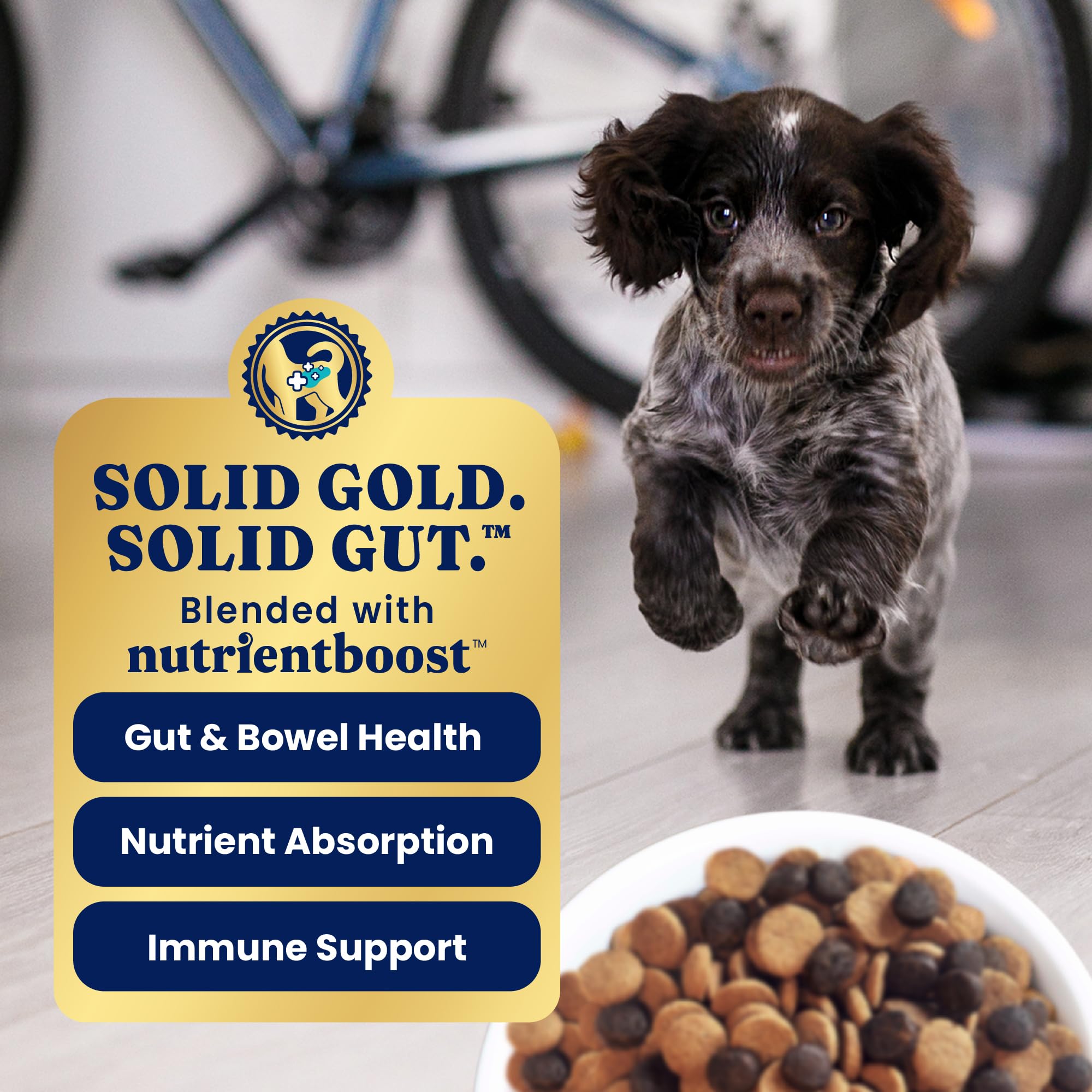 Solid Gold fórmula sin maíz ni gluten para cachorros sensibles.