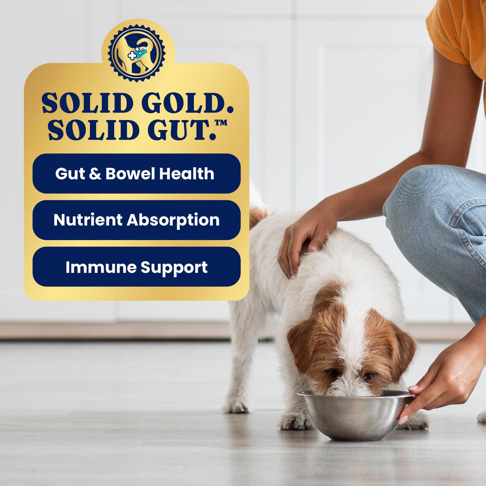 Sin granos, dieta canina libre de gluten y granos.