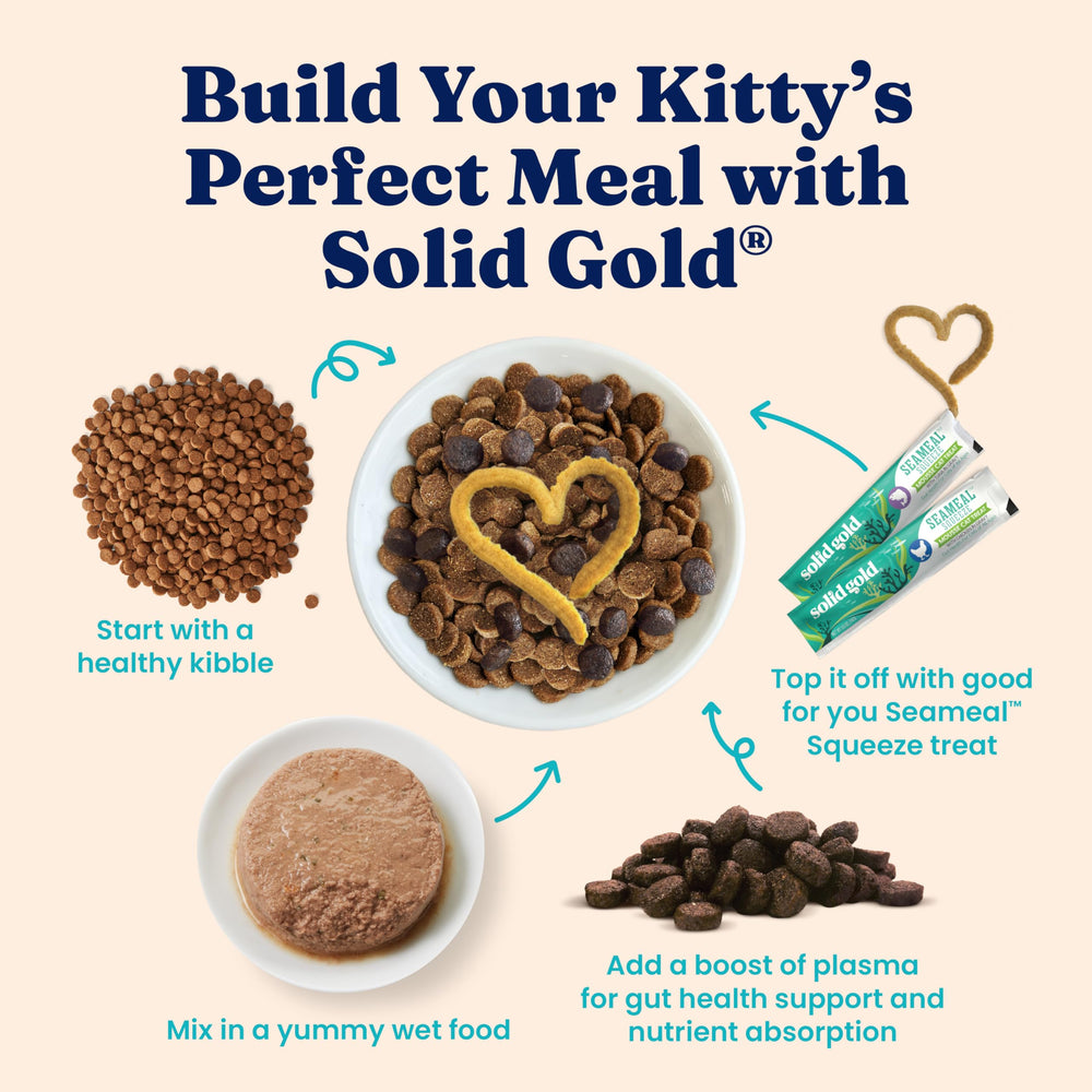 Solid Gold textura-pate-suave para gatitos exigentes.