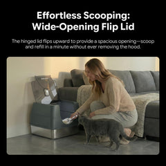 Solpobei caja de arena con lados altos para contener la arena.
