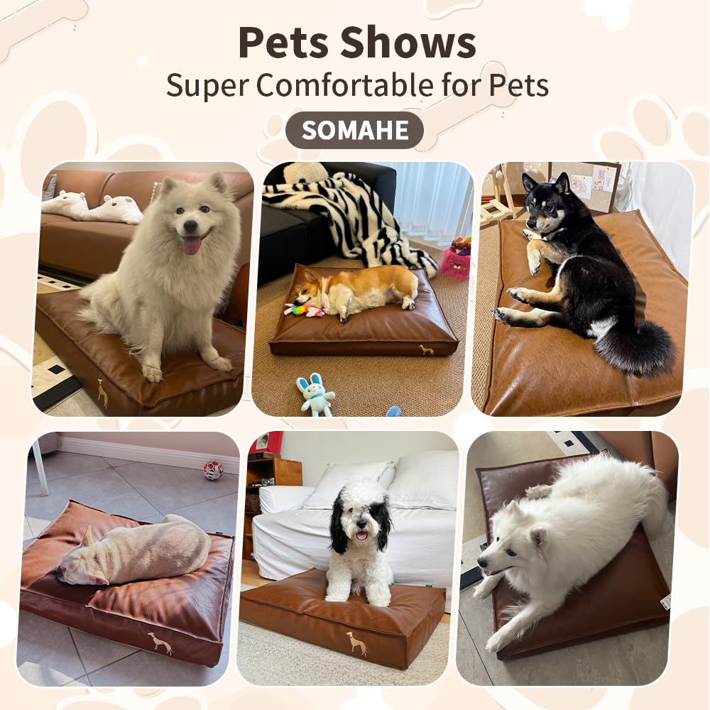 SOMAHE uso recomendado para interiores en hogares con perros medianos a grandes