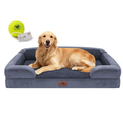 Cama ortopédica Song Puppy para perros grandes ofrece soporte cómodo para articulaciones.