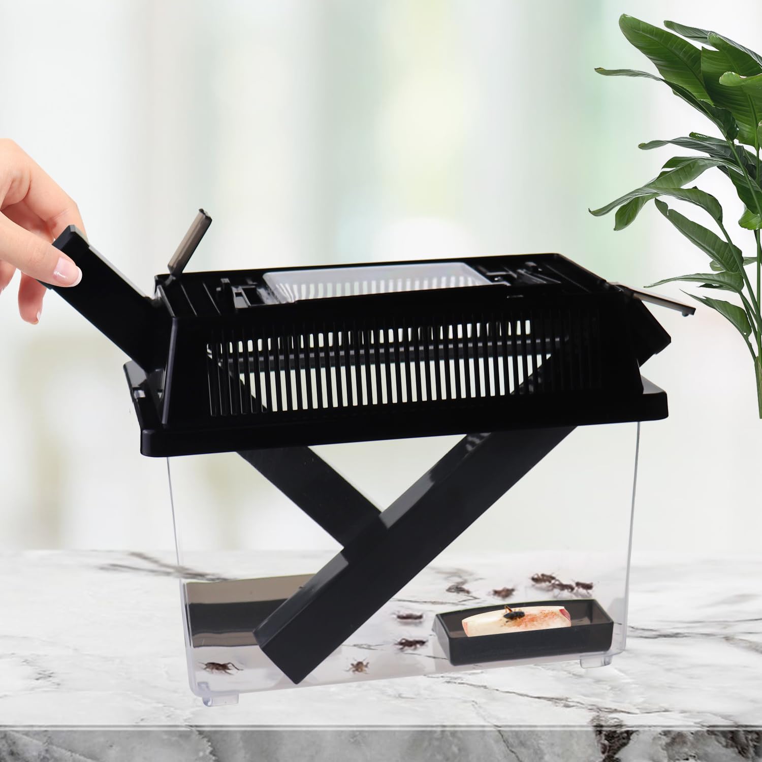 Sorwatee contenedor grillo medio con dispensador para alimentación fácil.