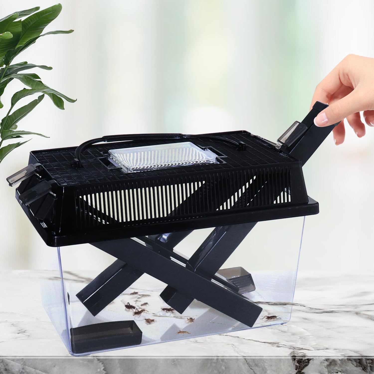 SORWATEE Tubos dispensadores para grillos, dosifica la comida con precisión.
