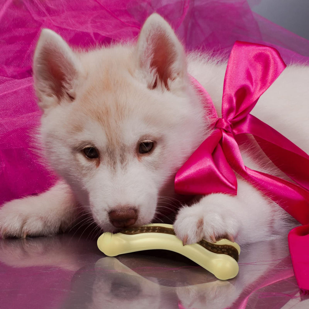 Regalo navideño ideal de Sosation para dueños de mascotas y sus perros activos.