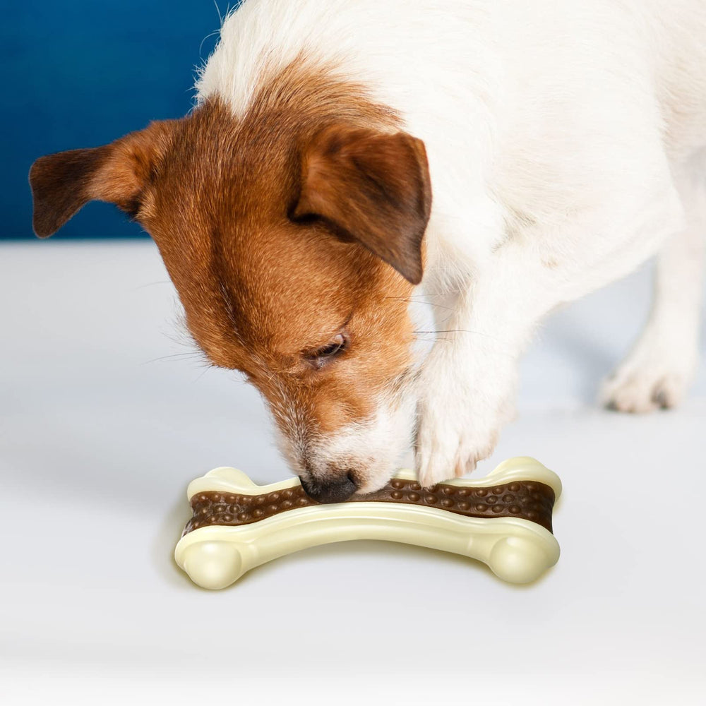 Sosation pack 3 masticadores, ideal para perros de todas las tallas.