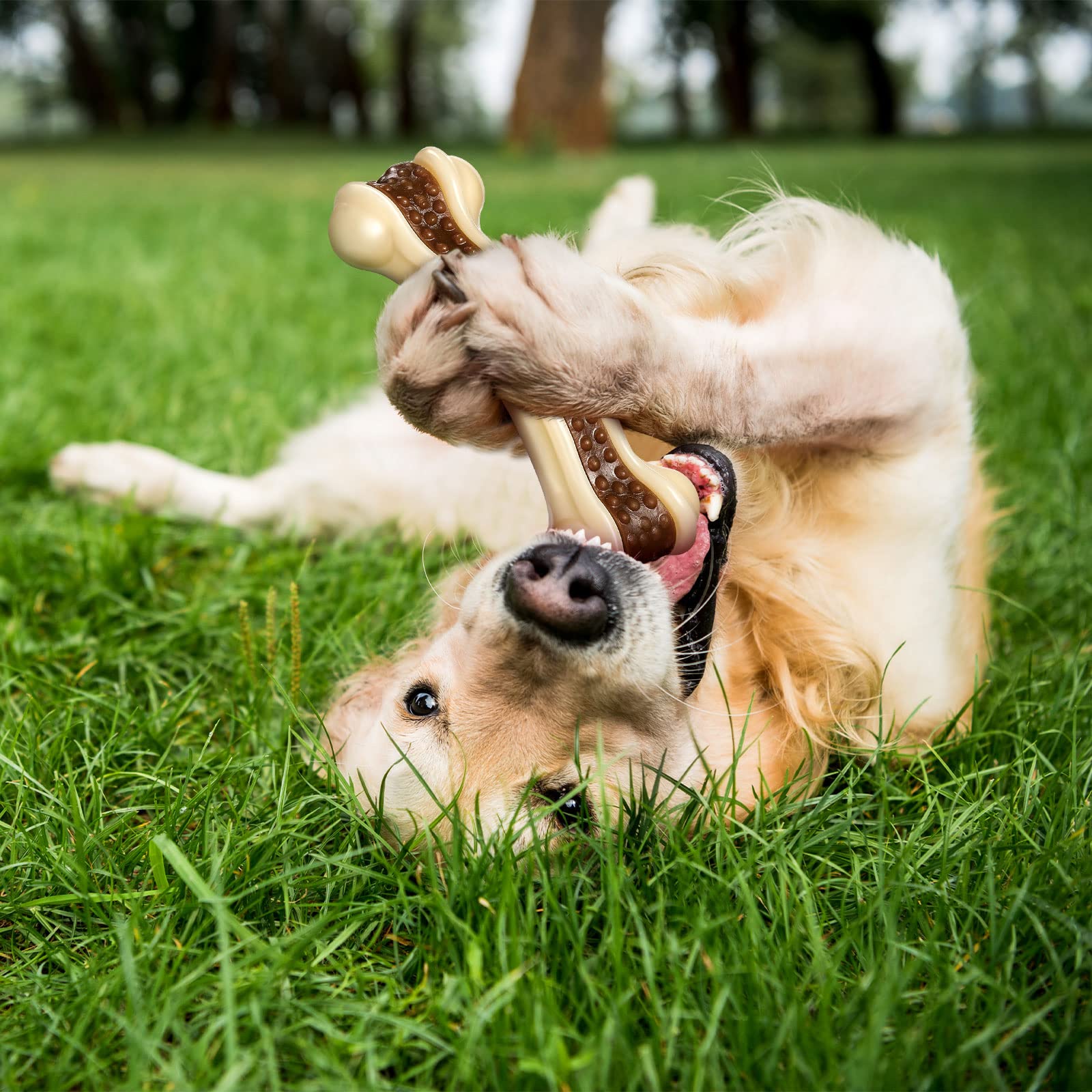 Sosation Regalo navideno para perros que mastican