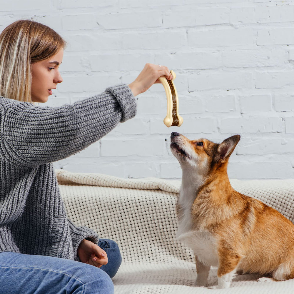 Sosation Regalo navideño para perros y dueños.
