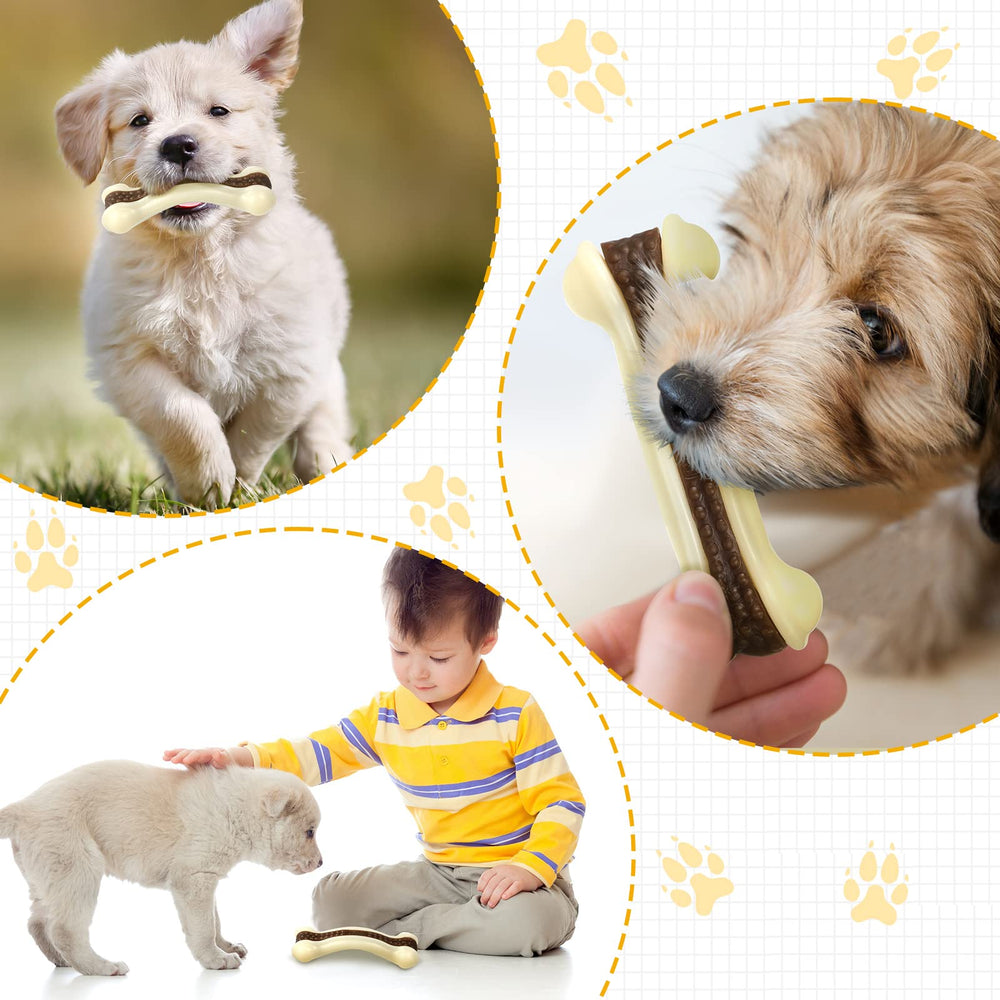 Uso diario con juego interactivo para perros.