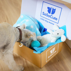 SoSoCute peluche con sonido: peluche suave para juego y consuelo