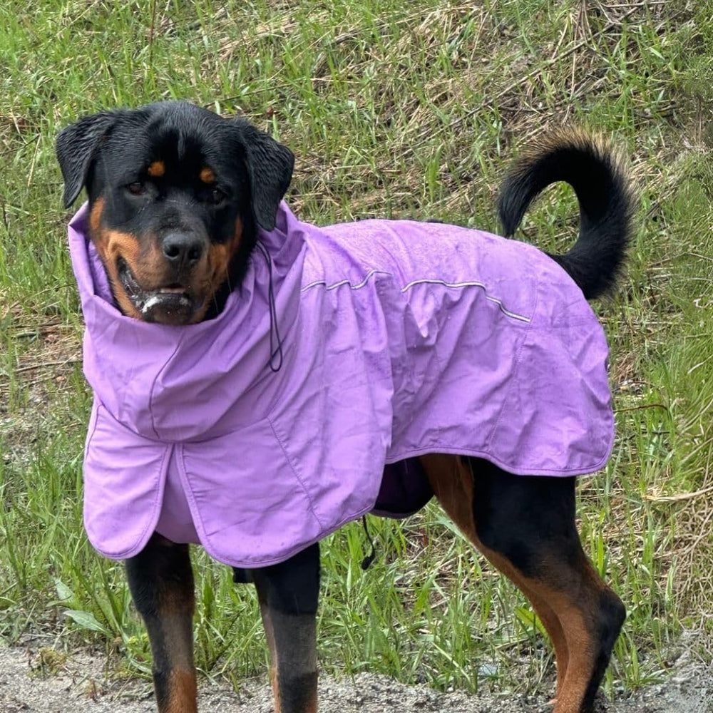 Ajuste cómodo en traseras Spark Paws para pausas de paseo sin complicaciones.