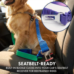 Spark Paws correa-tactica-pesada: resistencia ideal para razas grandes