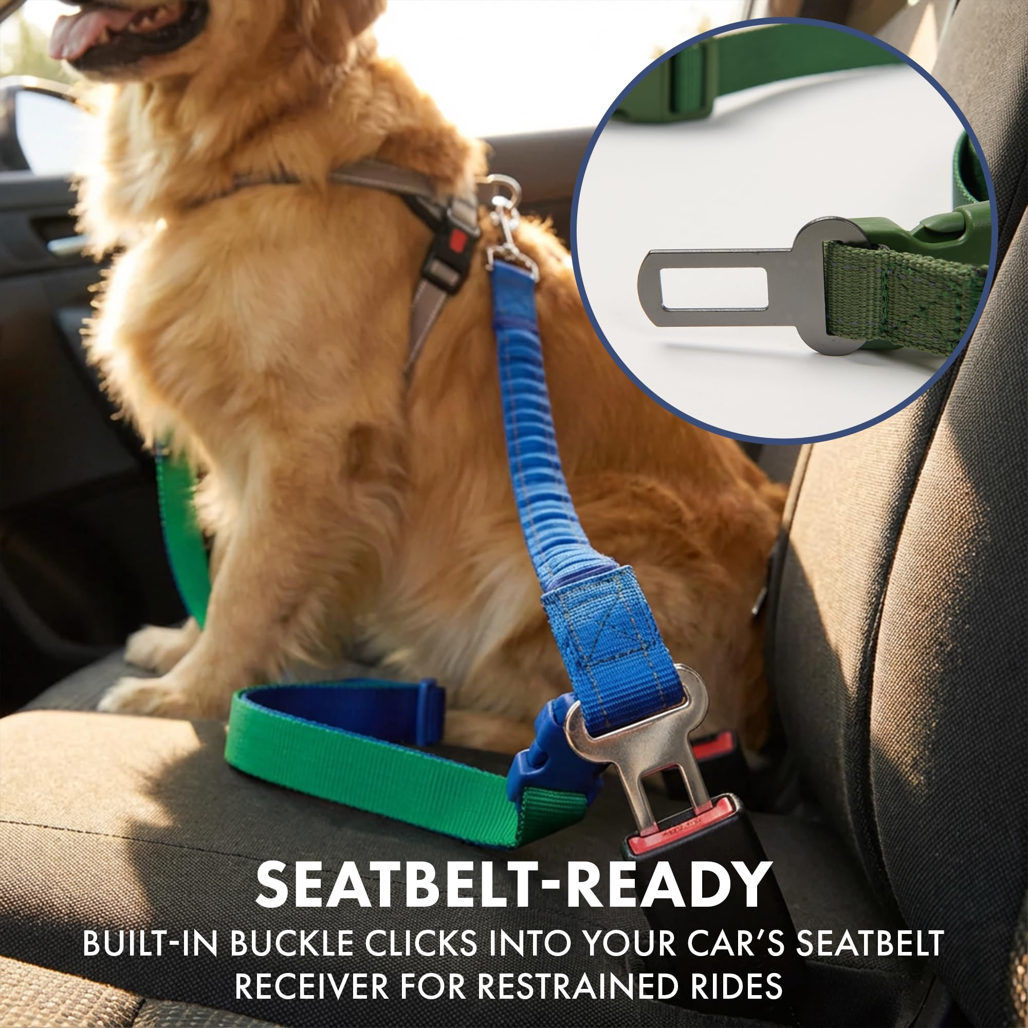 Spark Paws: correa táctica resistente para razas grandes y fuertes.
