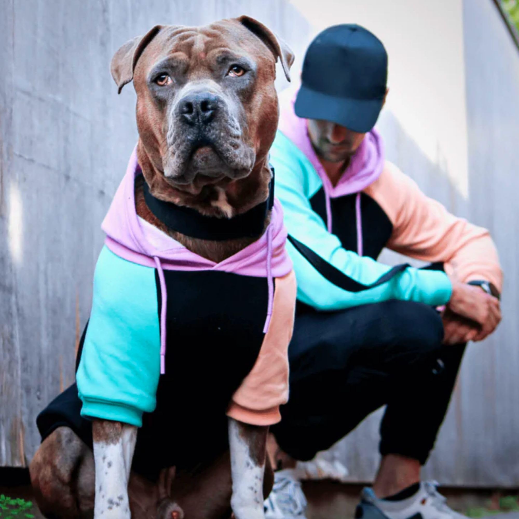 Spark Paws Sudadera Humana Bloque de Color Ciber, interior felpa suave para mayor confort.