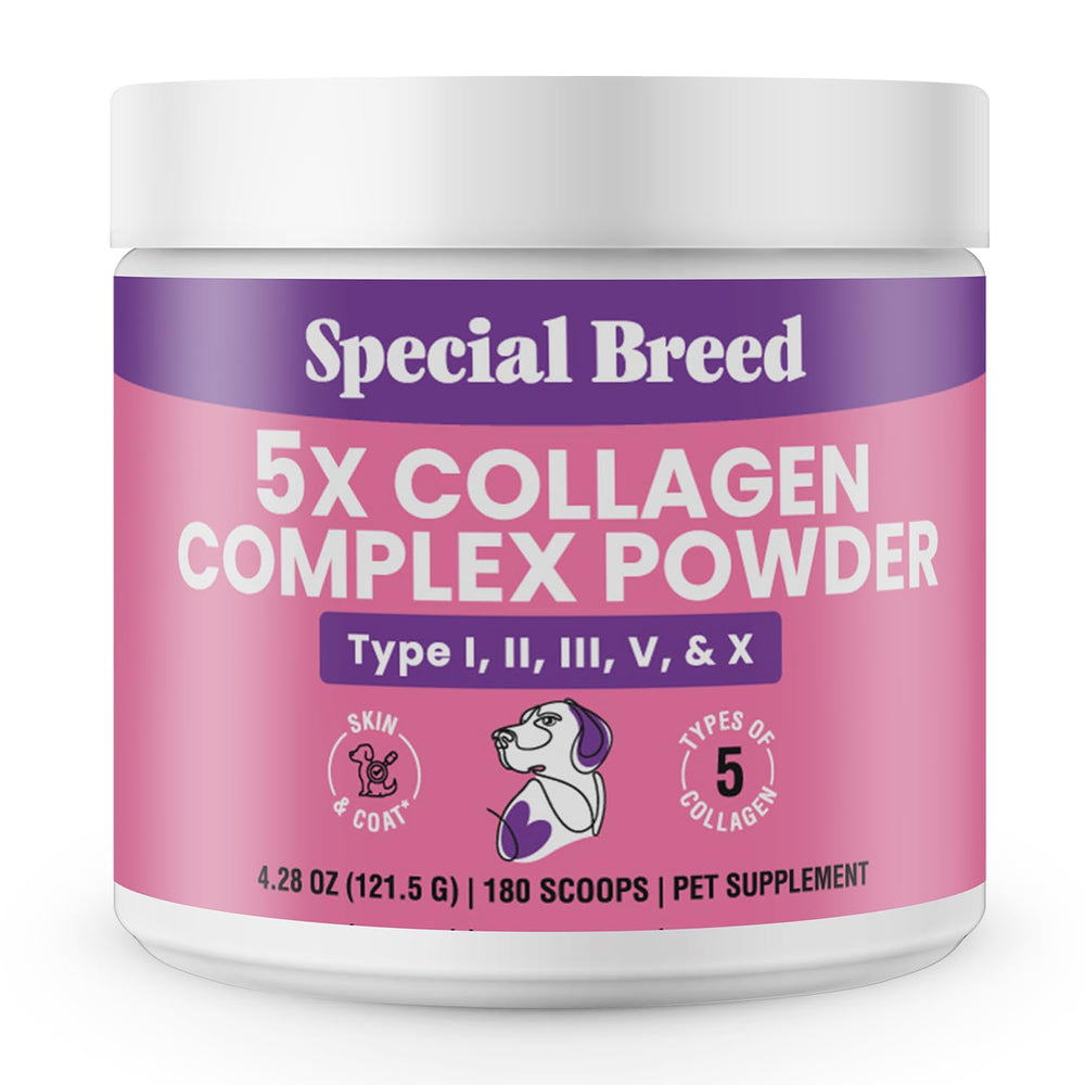 Special Breed 5X Collagen en polvo para perros, listo para mezclar y apoyar articulaciones.