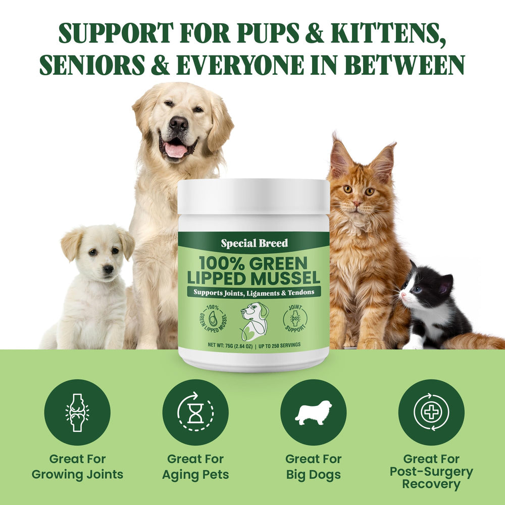 Apoyo versátil para articulaciones, ligamentos y músculos de mascotas.