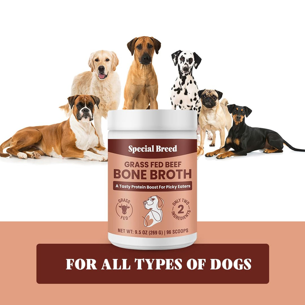 Special Breed Caldo de Hueso en Polvo hecho en EE. UU