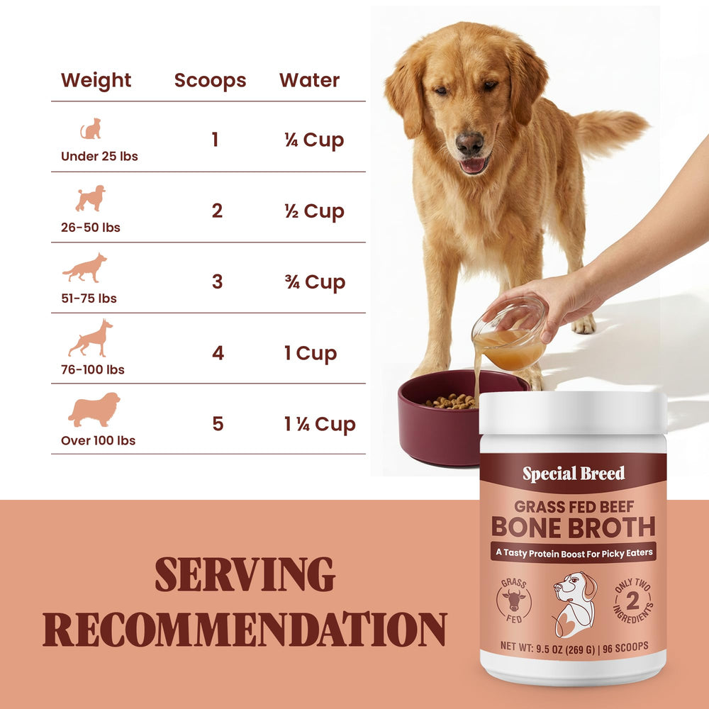 Special Breed Caldo de Hueso en Polvo ideal para mascotas mayores