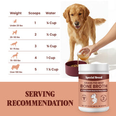 Special Breed Caldo de Hueso en Polvo ideal para mascotas mayores