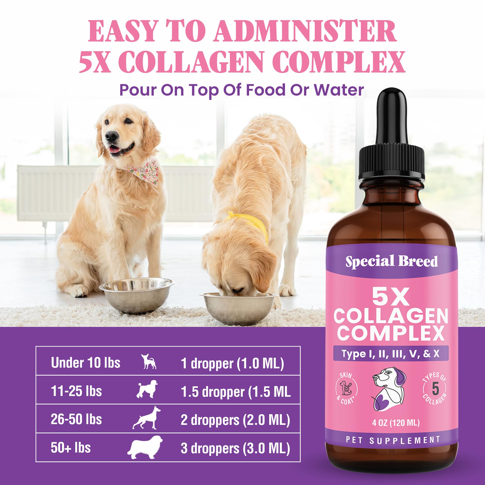 Special Breed Colágeno para perros: apoyo a la inmunidad natural.