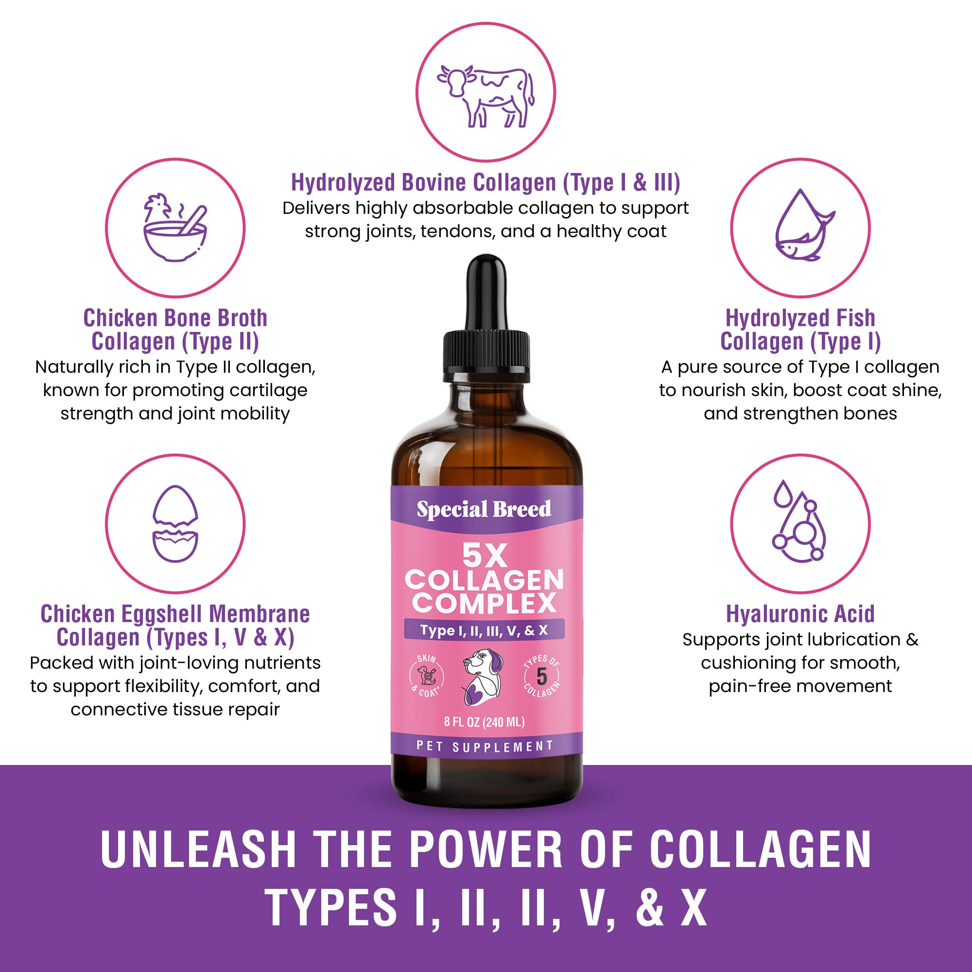 Special Breed Collagen para perros, mezcla de 5 tipos para soporte integral.