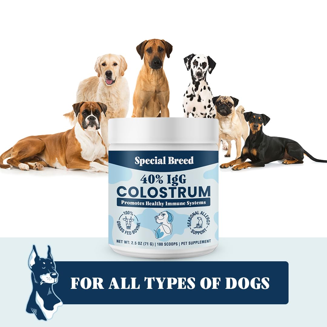 Special Breed colostro de pasto igG40 elaborado en EEUU bajo GMP