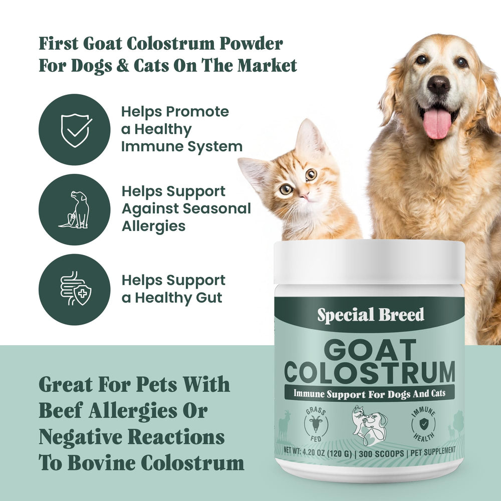 Special Breed cuchara de medición, dosis diaria fácil para mascotas