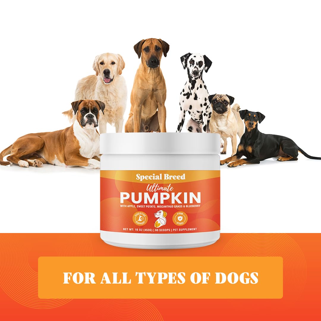Special Breed: se sirve como topper para la comida del perro para mejorar la experiencia de comer.