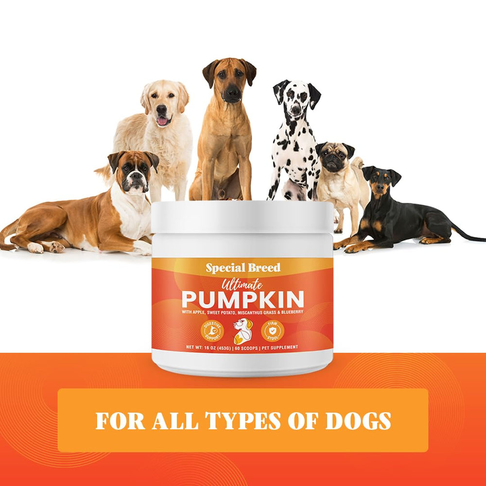Special Breed: se sirve como topper para la comida del perro para mejorar la experiencia de comer.