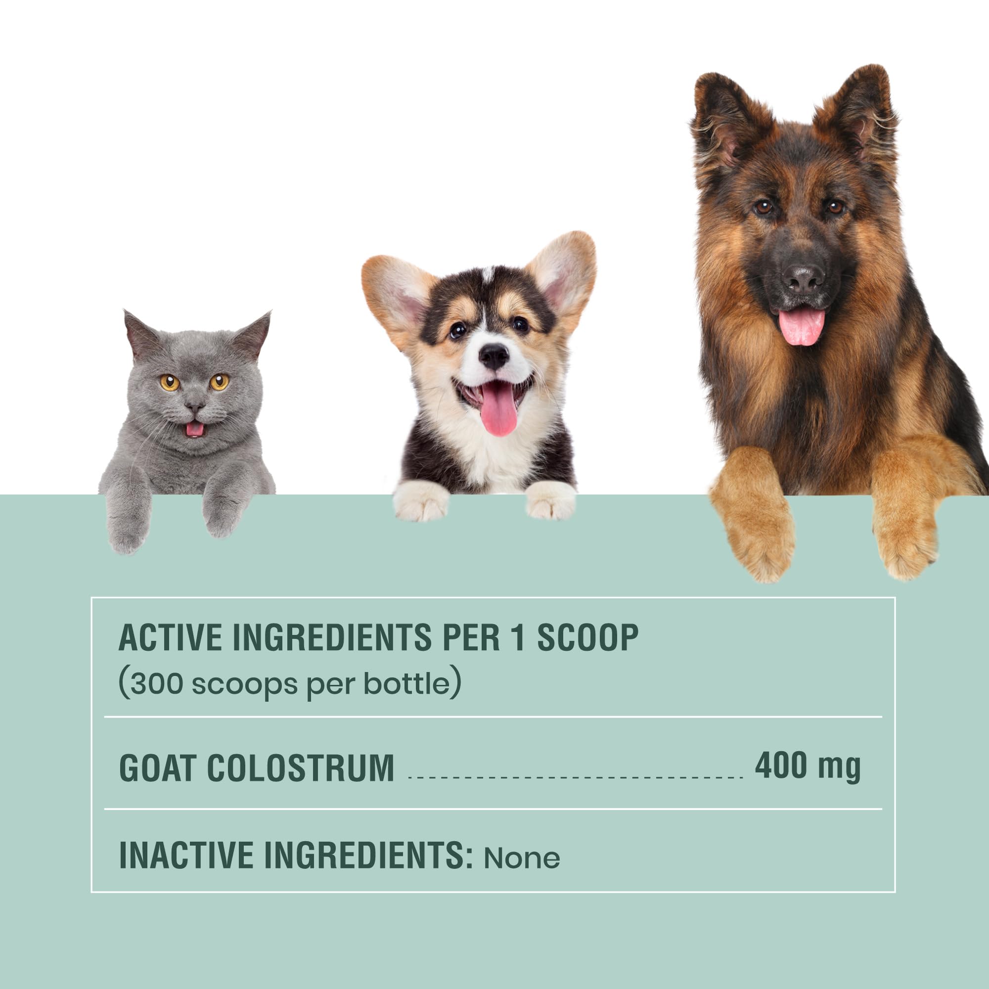 Special Breed dosificación diaria fácil, ideal para rutina de mascotas