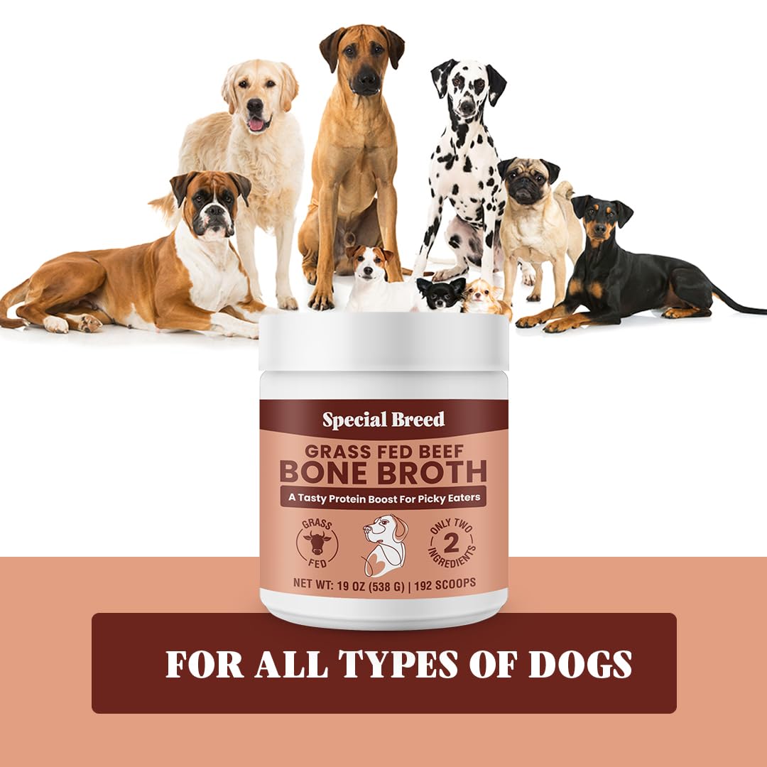 Special Breed envase práctico de 19 oz para uso diario