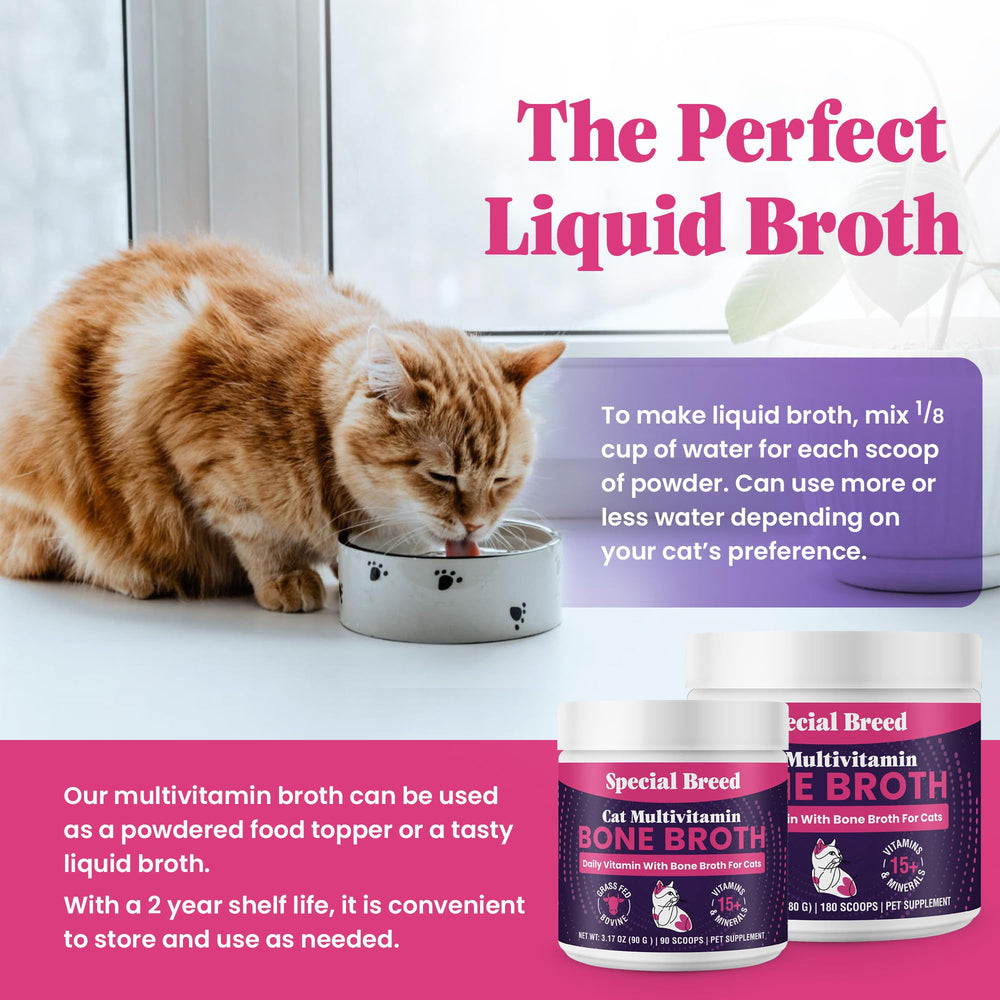Special Breed Caldo de huesos de res alimentado con pasto para gatos