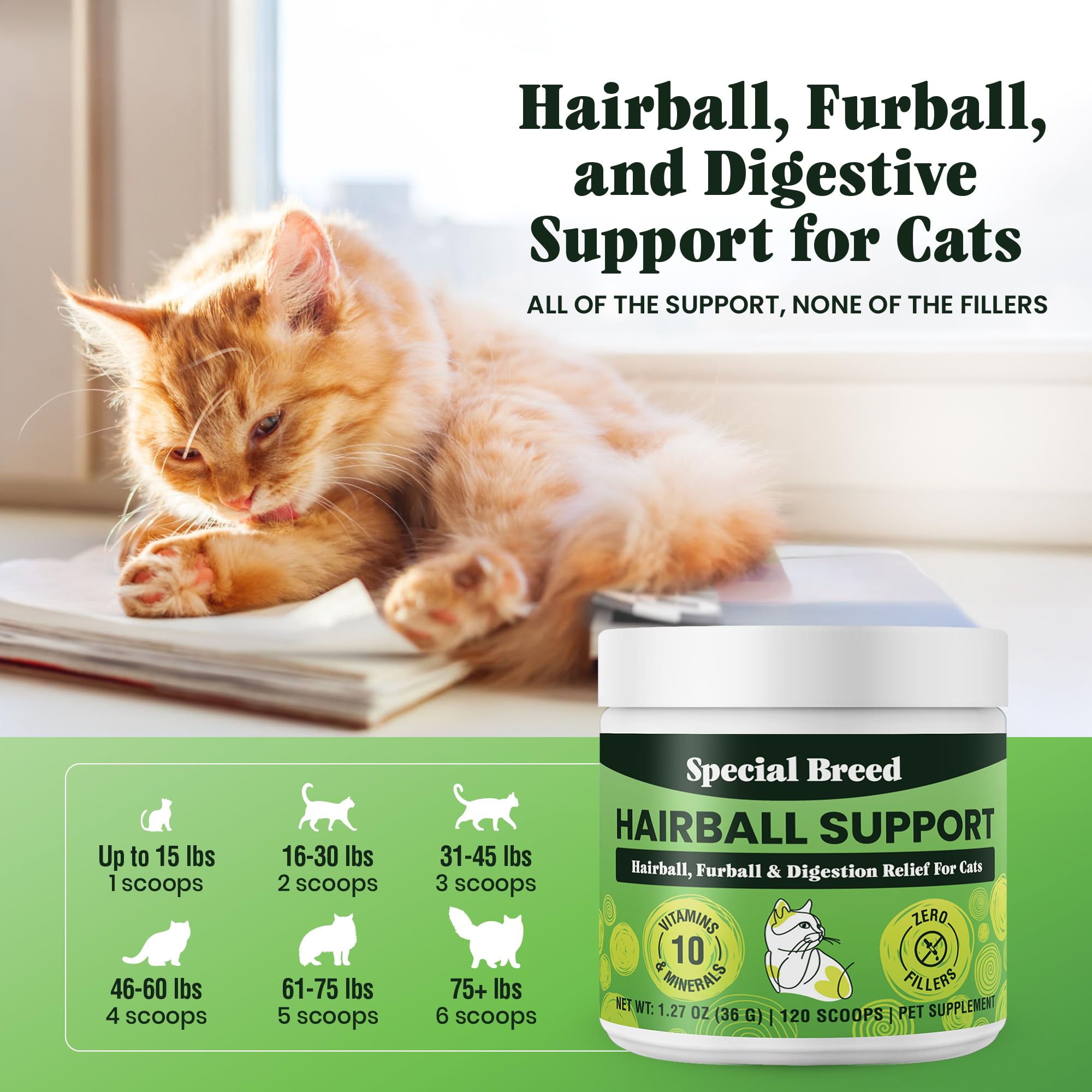 Special Breed gato disfruta la comida gracias al polvo neutro