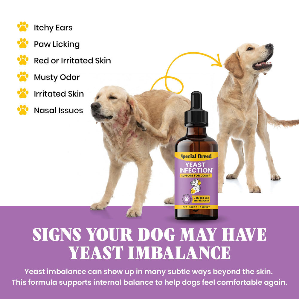 Special Breed Gotas: orejas del perro para confort y reducción de irritación.