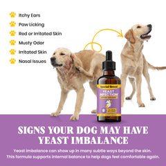 Special Breed Gotas: orejas del perro para confort y reducción de irritación.