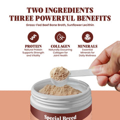 Special Breed kibble hidratado para mayor palatabilidad
