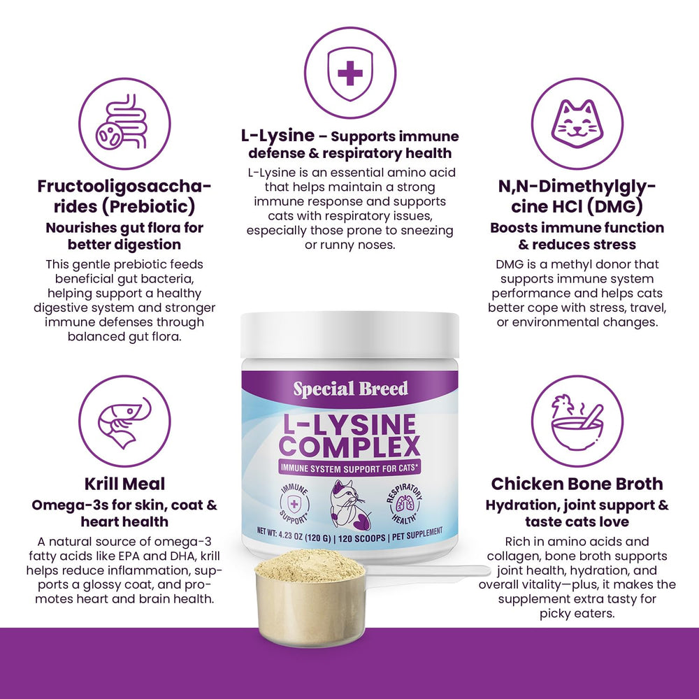 Special Breed Lisina para gatos: ingredientes clave DMG y krill para salud general.