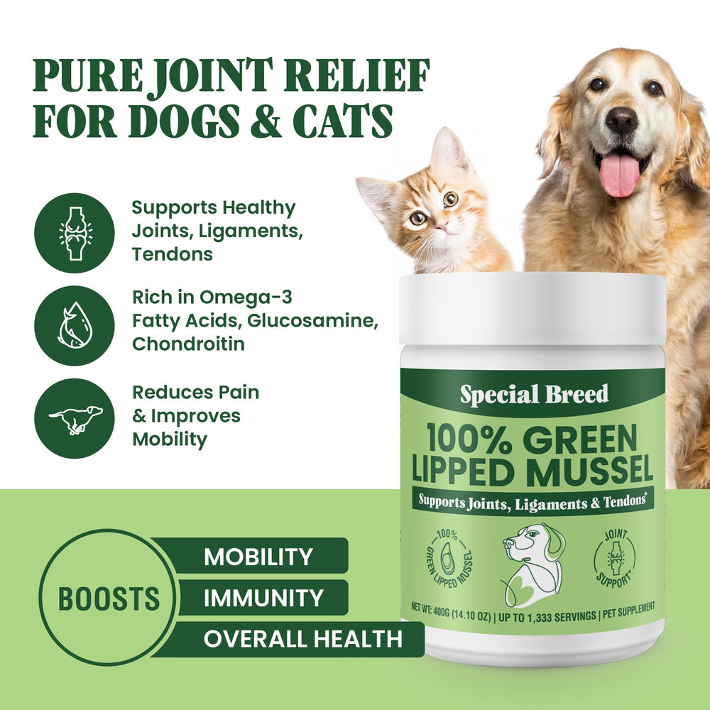 Special Breed mejillón labio verde para perros, ideal para movilidad y energía diaria.