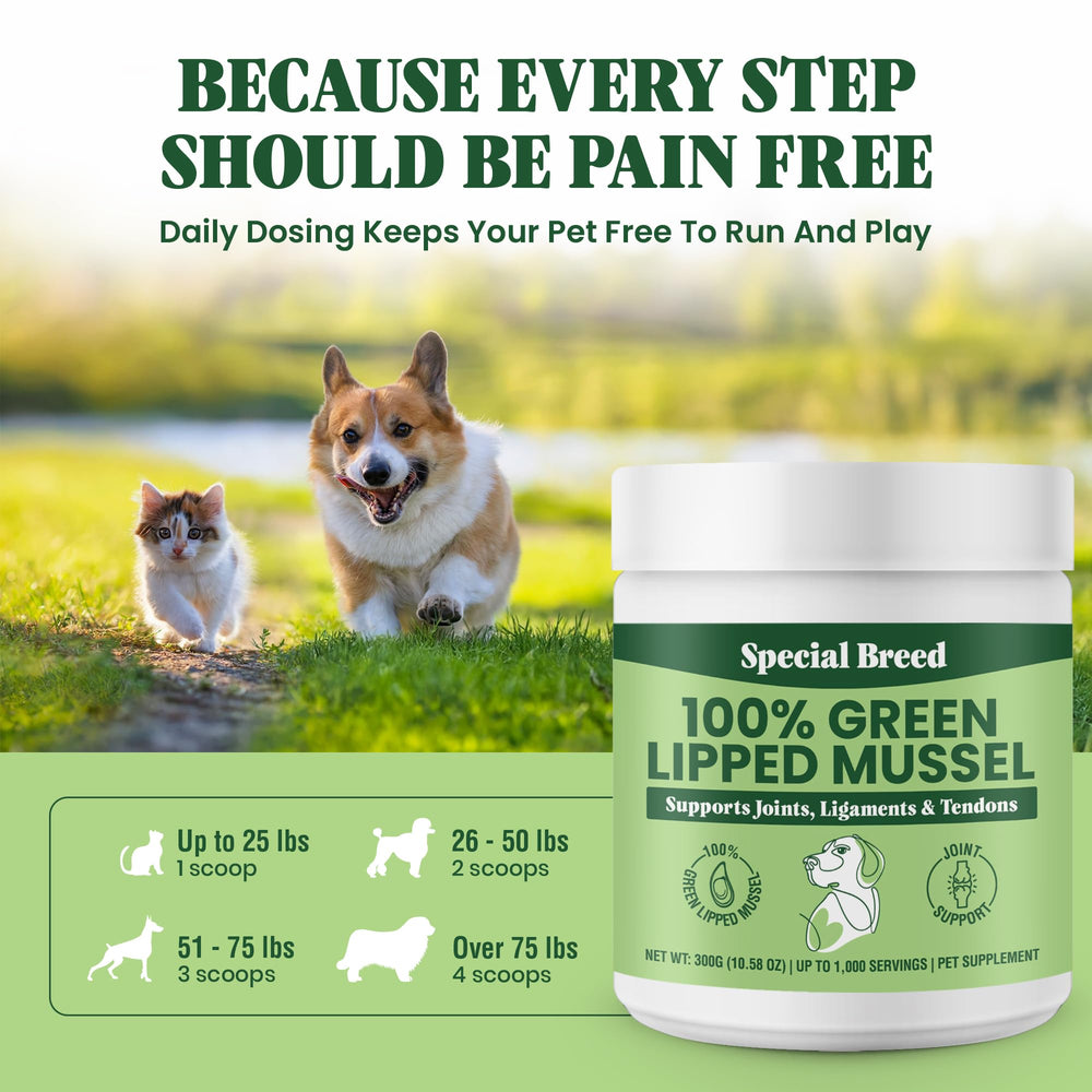 Special Breed apoyo articular para perros y gatos con mejillon verde, ingrediente natural.