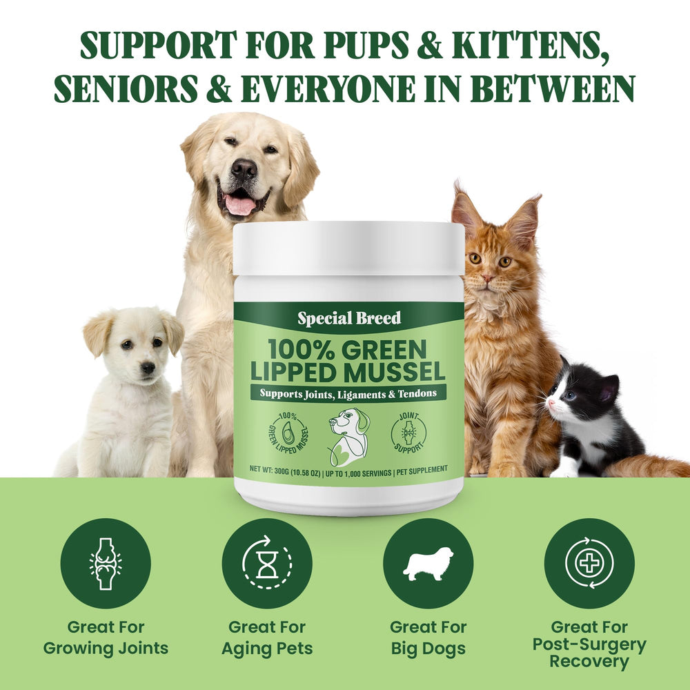 Special Breed mezcla diaria para comida con mejillon verde, facilita la suplementación.